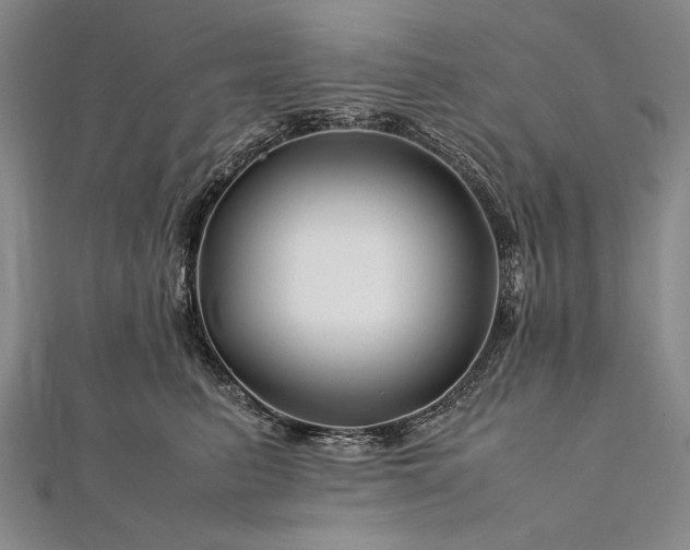 X0000112370615200908271320