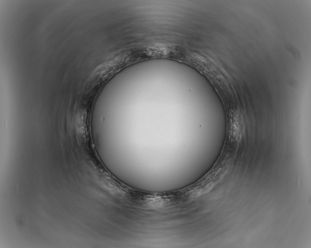 X0000112370616200908271320