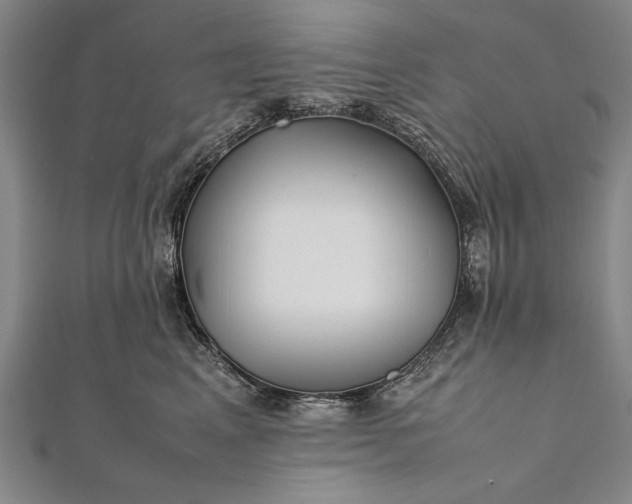 X0000112370617200908271320