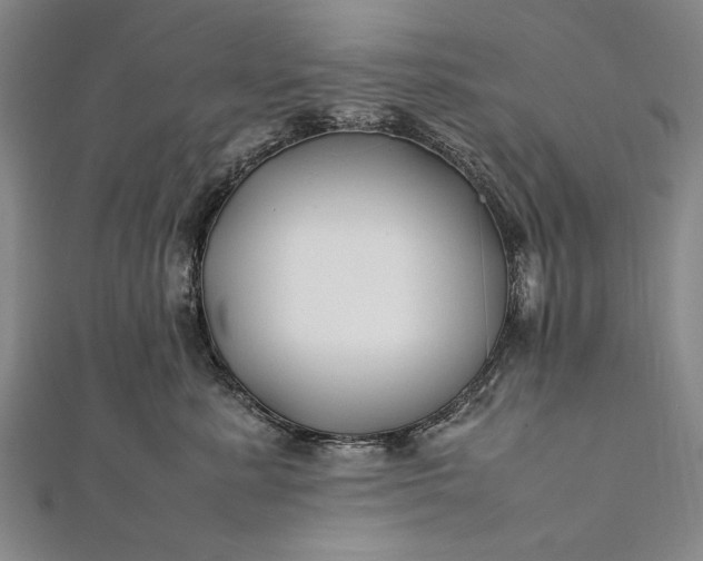 X0000112370619200908271320