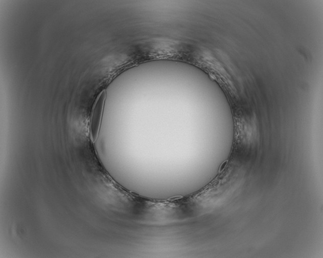 X0000112370621200908271320