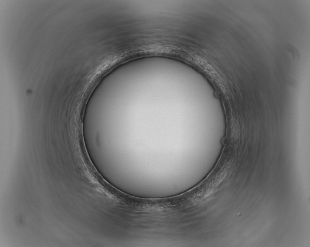 X0000112370625200908271319