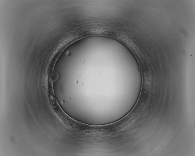 X0000112370626200908271319