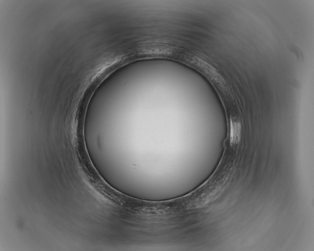 X0000112370627200908271319