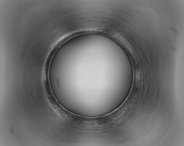 X0000112370628200908271319