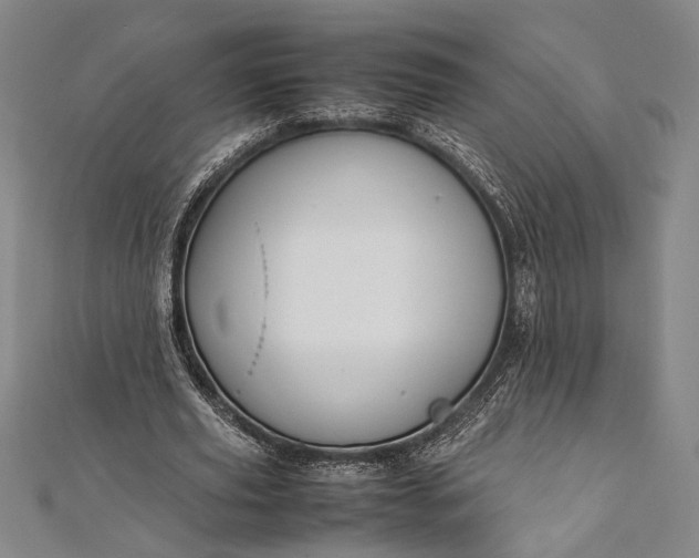 X0000112370629200908271319