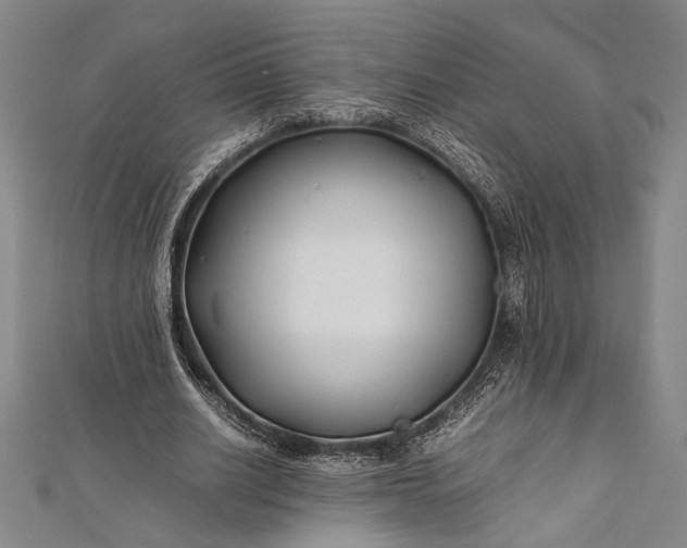 X0000112370630200908271319