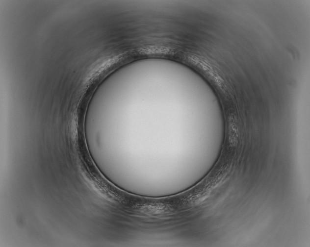 X0000112370631200908271319