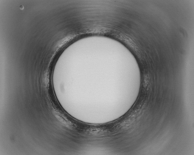 X0000112370632200908271319