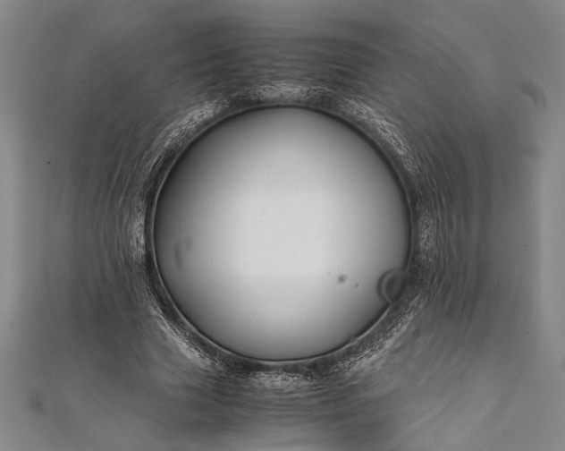 X0000112370633200908271319