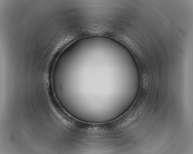 X0000112370634200908271319