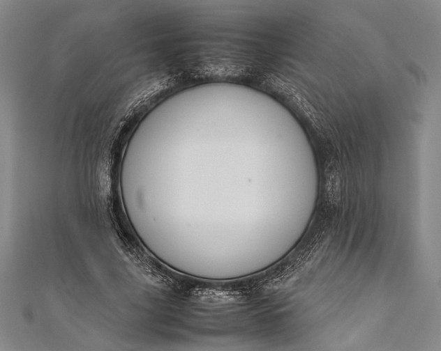 X0000112370635200908271319