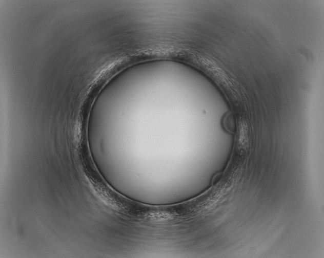 X0000112370636200908271319