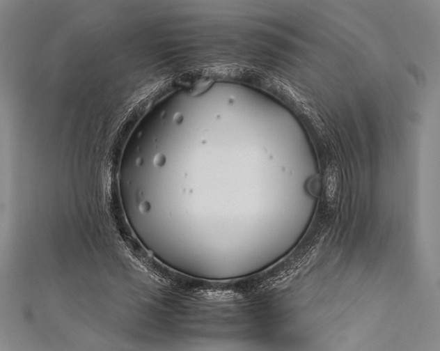 X0000112370637200908271319