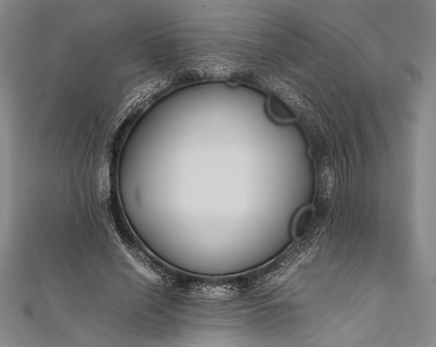 X0000112370638200908271319