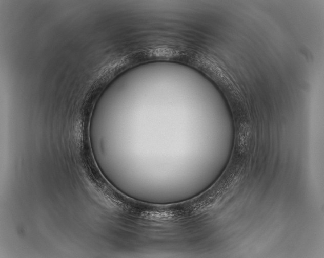 X0000112370639200908271319