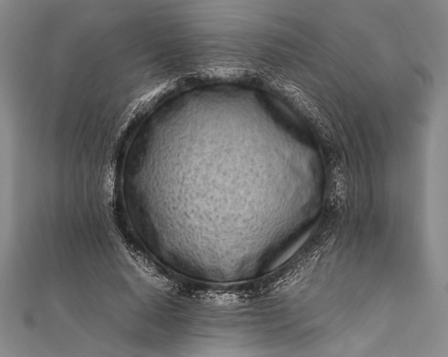 X0000112370640200908271319