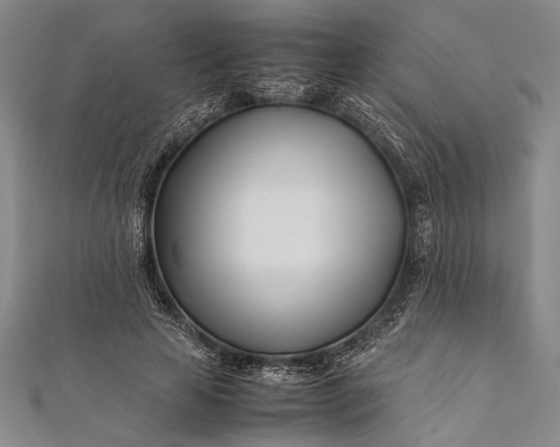 X0000112370641200908271319