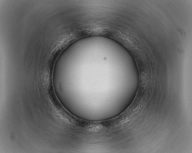 X0000112370642200908271319