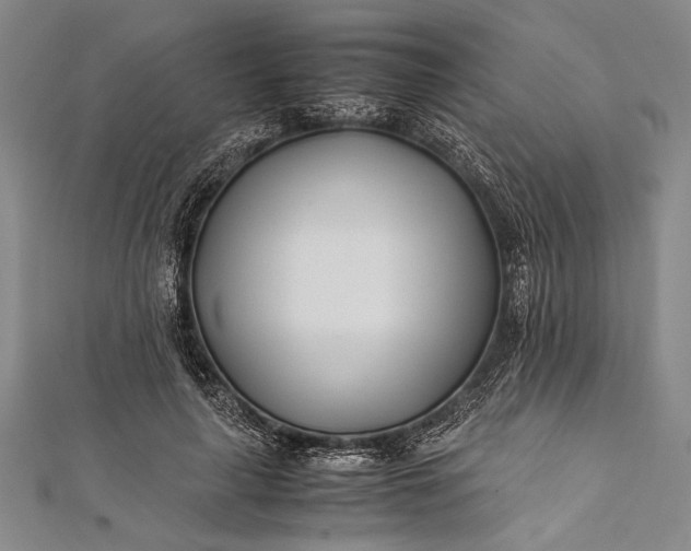 X0000112370643200908271319