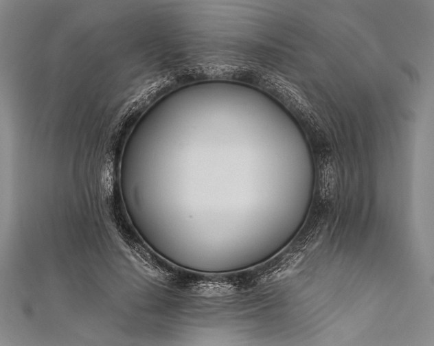 X0000112370644200908271319