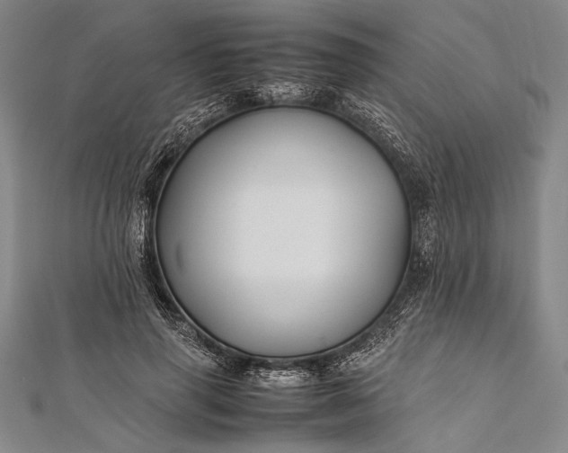 X0000112370645200908271319