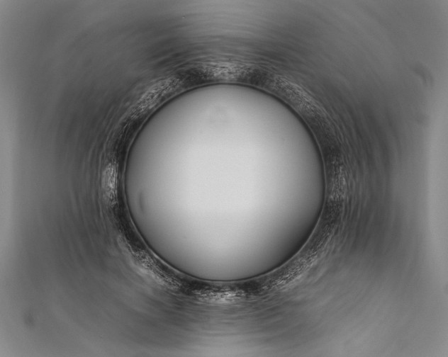 X0000112370646200908271319