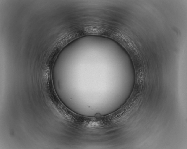 X0000112370647200908271319