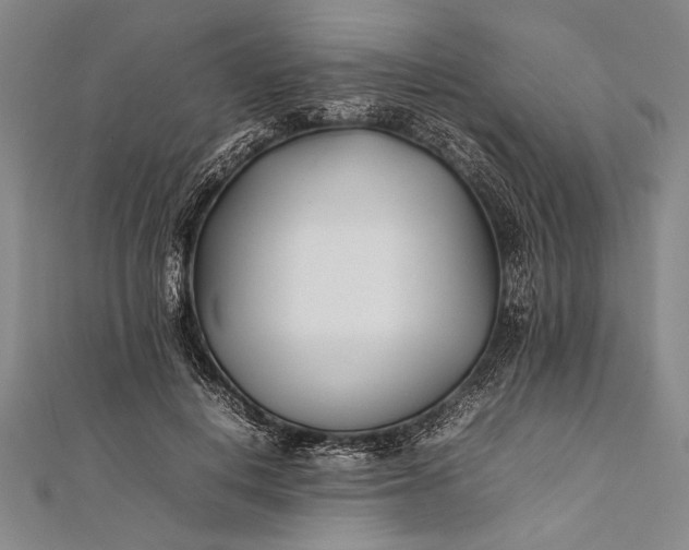 X0000112370648200908271319