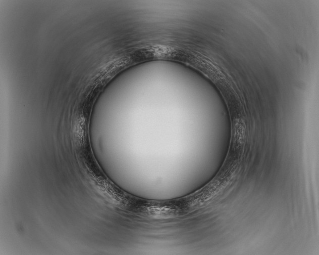 X0000112370650200908271319