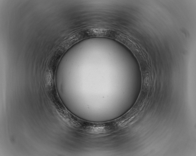 X0000112370651200908271319