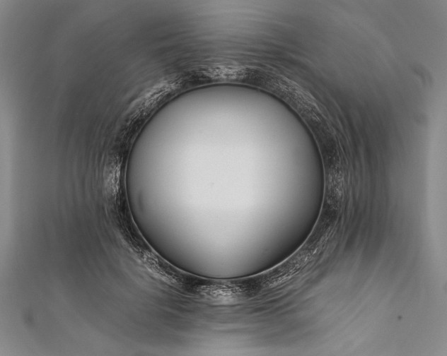 X0000112370652200908271319