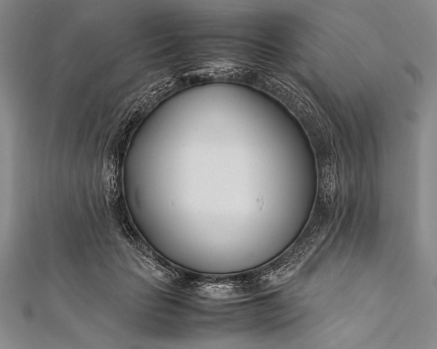 X0000112370653200908271319