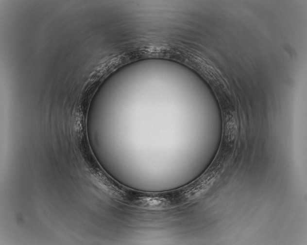 X0000112370654200908271319