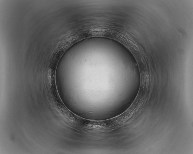 X0000112370655200908271319