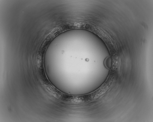 X0000112370656200908271319