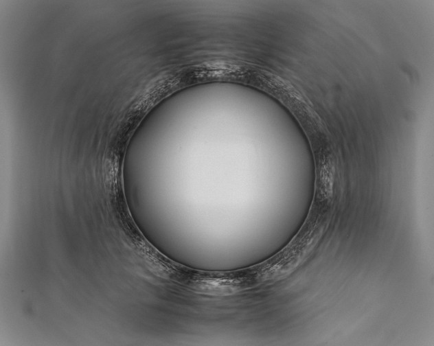 X0000112370657200908271319