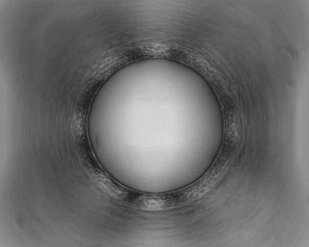 X0000112370658200908271319