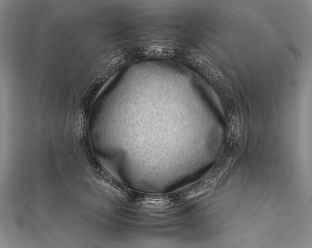 X0000112370659200908271319