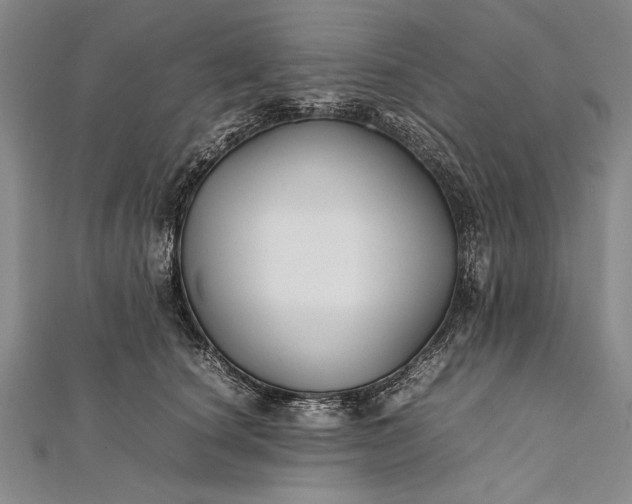 X0000112370660200908271319