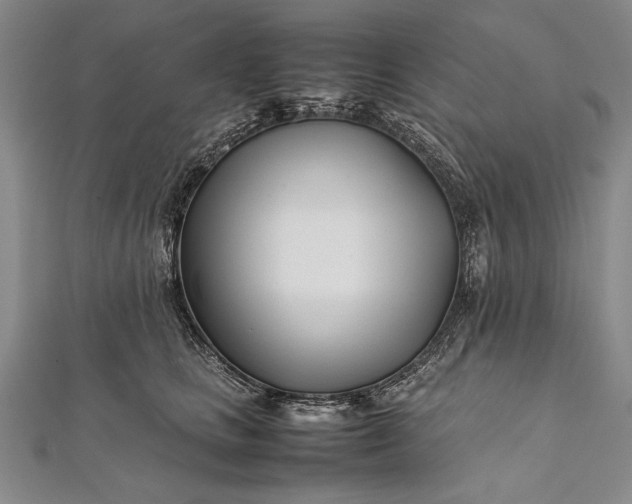 X0000112370661200908271319