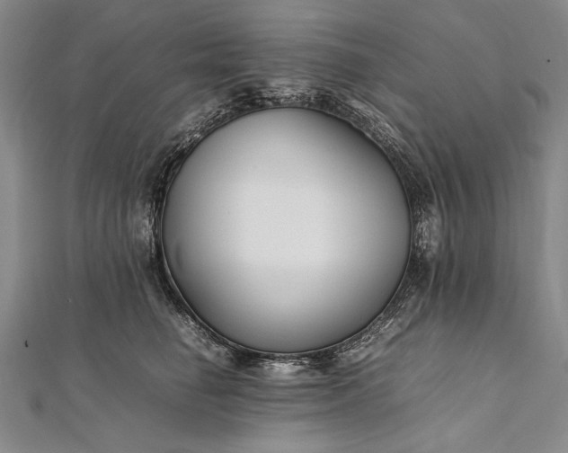 X0000112370662200908271319