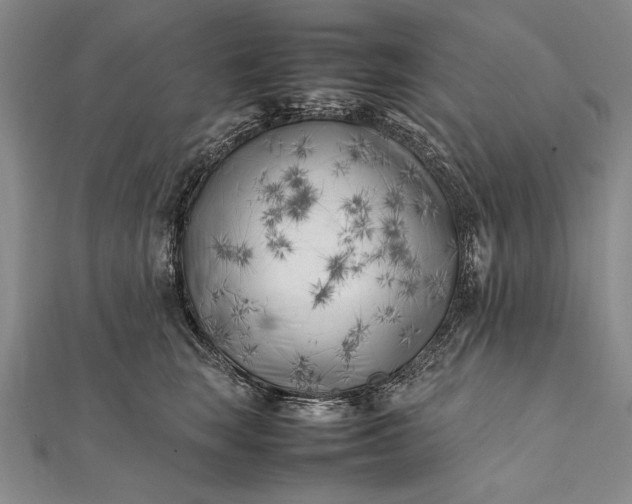 X0000112370663200908271319