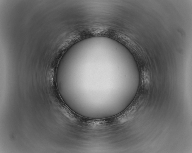 X0000112370664200908271319