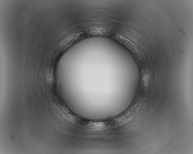 X0000112370665200908271319