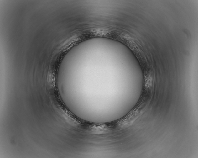 X0000112370666200908271319