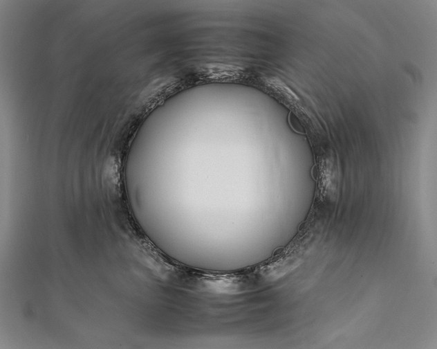 X0000112370667200908271319