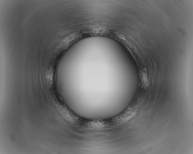 X0000112370668200908271320