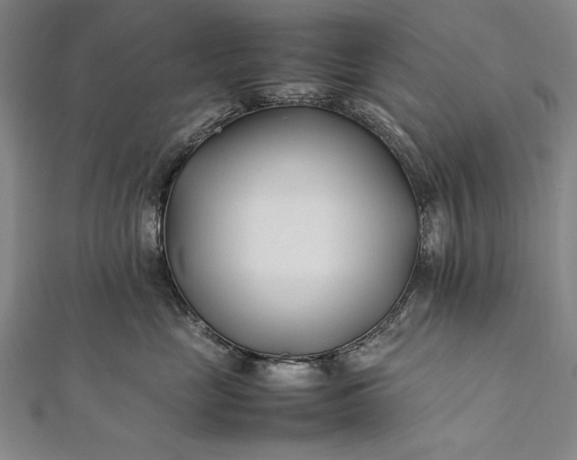 X0000112370669200908271320