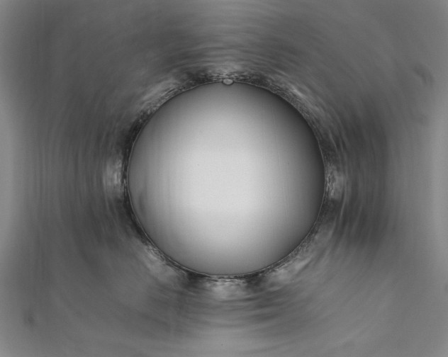 X0000112370670200908271320